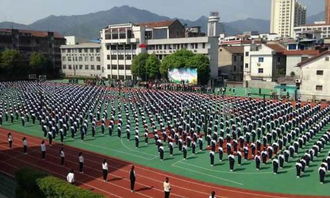 初識新校園作文800字