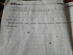 我的校園作文怎么寫三萬字