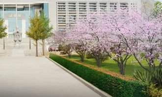 校園處處有風(fēng)景200字作文