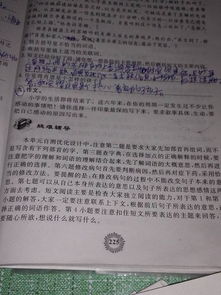 校園感動的事400字作文600字