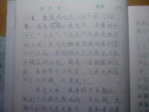美麗的校園移步換景作文400字