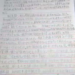 寫校園冬天風景作文1000字
