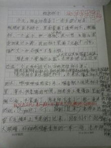校園一角300字作文初一,校園一角300字作文初二,校園一角的作文怎么寫300字三年級