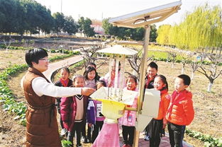 作文校園小農(nóng)場實(shí)踐