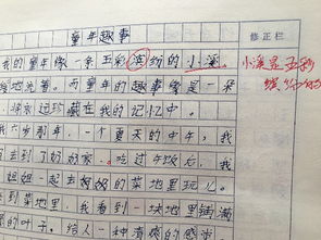 五彩繽紛的花園作文三級(jí)校園