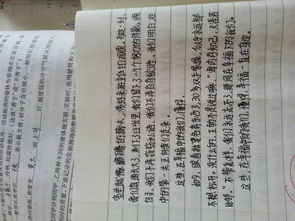 美麗的校園600字作文