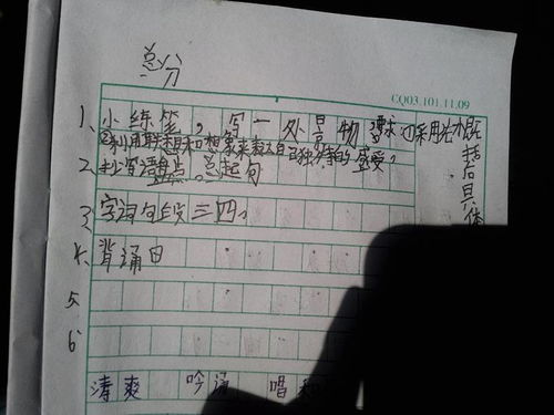 作文,校園里,風(fēng)景