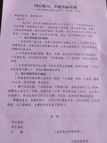 建設(shè)美麗校園環(huán)境作文600字作文怎么寫