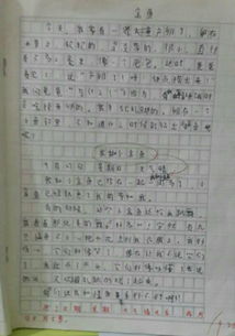 校園的什么作文350