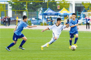 作文精彩的校園足球賽