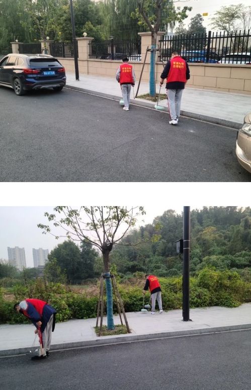 愛護環(huán)境共創(chuàng)美好校園作文