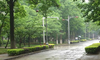 雨中的校園300字作文四級(jí)