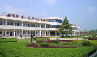 真美校園作文200字風(fēng)景