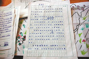 新校園開(kāi)學(xué)作文