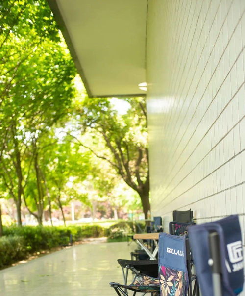 校園最美的角落作文500字