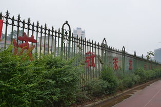 移步換景我的校園寫(xiě)景作文200字