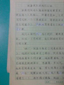 校園生活散文作文800