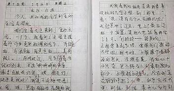 小學(xué)寫(xiě)校園的作文400字作文