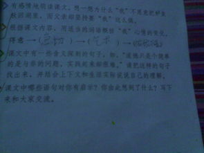 與校園道德建設(shè)有關(guān)的作文600字