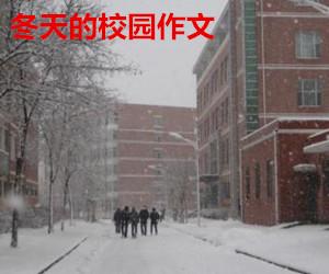 描寫冬天校園美景的作文范文