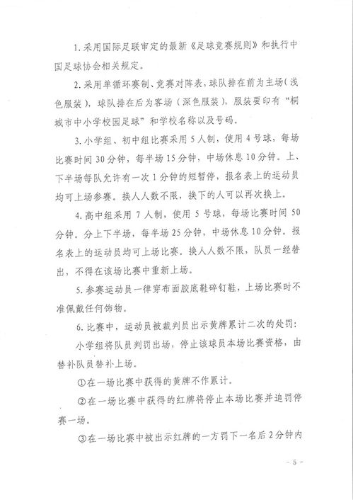 校園足球賽體會作文五百字