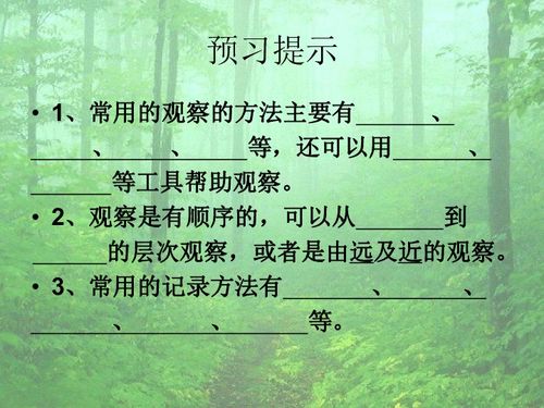 描寫校園里一棵大樹的作文