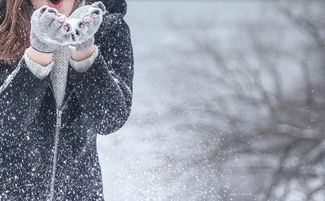 校園唯美冬天作文