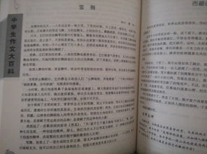 伏羲校園的作文600字