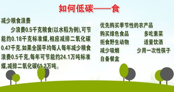 無廢校園建設(shè)作文