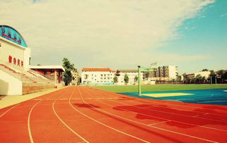 我的校園的操場說明文800字作文怎么寫