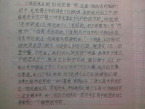 對新的校園的感受作文