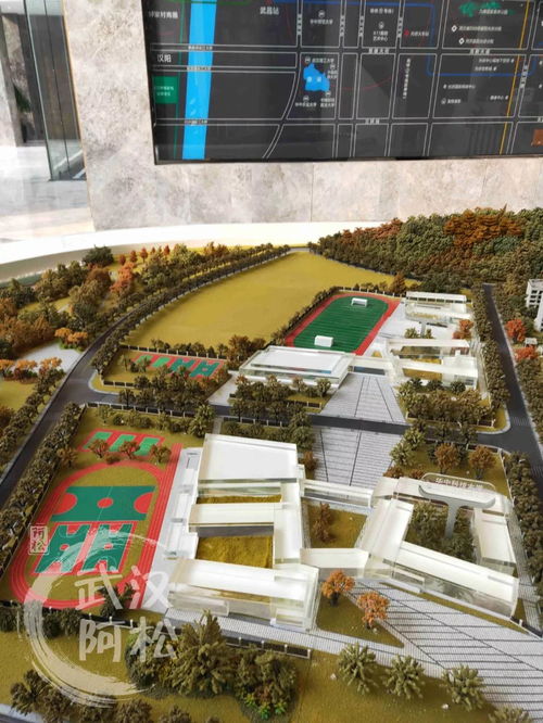 規(guī)劃設(shè)計(jì),注意事項(xiàng),中學(xué)