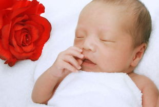 0至1歲育兒注意事項,冬季育兒注意事項,請育兒嫂注意事項