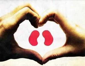 血透病人拔針注意事項,透析患者拔針的注意事項,針灸拔針的注意事項