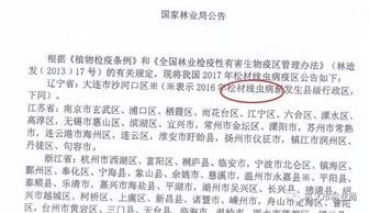 青山,工程施工,注意事項(xiàng)