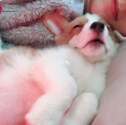 注意事項(xiàng)