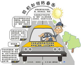 交通安全的注意事項,冬季交通安全注意事項,交通安全注意事項6條