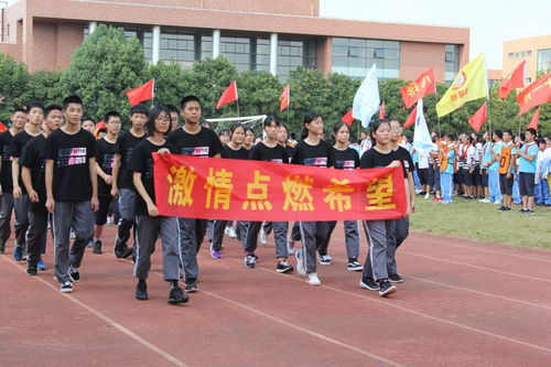 運(yùn)動(dòng)會(huì),紀(jì)律,注意事項(xiàng),初中