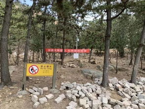 百日墳注意事項(xiàng)