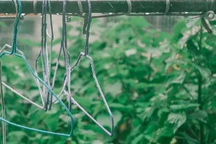 梅雨季節(jié)寶寶生活注意事項(xiàng)