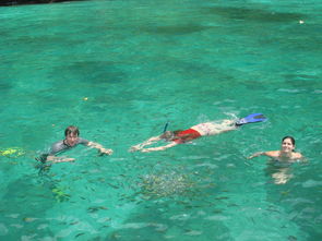 出海的注意事項(xiàng),普吉島旅游注意事項(xiàng),出海捕魚注意事項(xiàng)