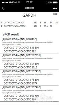 pcr引物設計的注意事項,引物設計的注意事項,pcr引物設計原則及注意事項
