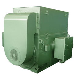 高壓,注意事項,電機(jī),設(shè)計