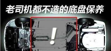 虎鉗使用的注意事項(xiàng),蜜蠟的保養(yǎng)方法和注意事項(xiàng),漂完唇的保養(yǎng)和注意事項(xiàng)