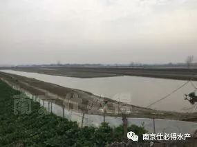 螃蟹風(fēng)水寶地注意事項(xiàng),螃蟹放生注意事項(xiàng),養(yǎng)螃蟹的注意事項(xiàng)