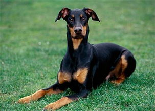 注意事項(xiàng),生產(chǎn)