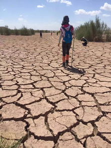 敦煌沙漠徒步三天注意事項(xiàng),沙漠徒步行走安全注意事項(xiàng),20公里越野徒步的注意事項(xiàng)