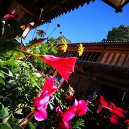 納西族,注意事項