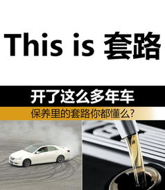 期內(nèi),保修,注意事項,維修