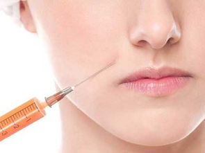 皮內(nèi)注射的注意事項,脂肪乳注射注意事項,注射狂犬疫苗后注意事項